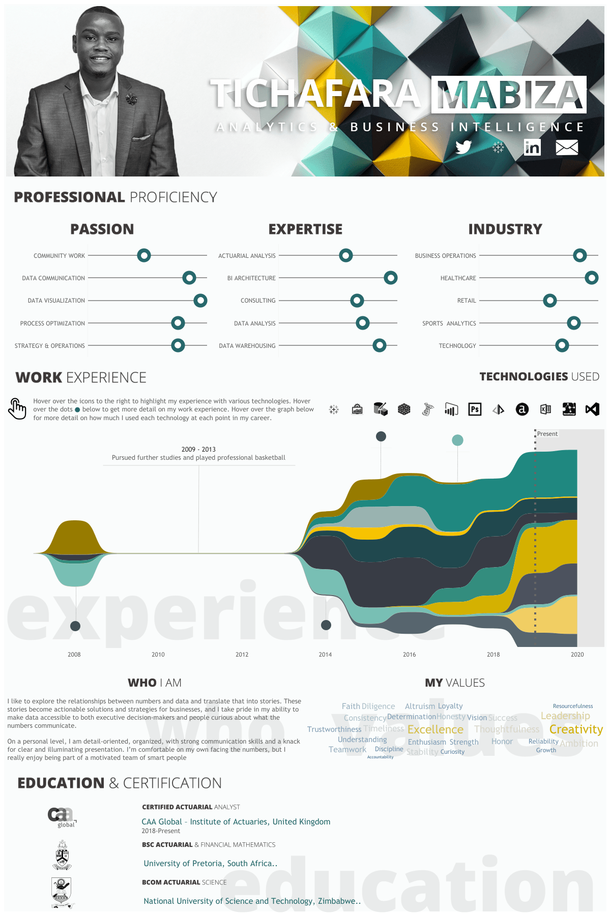 CV Tableau visuel et interactif de Tich Mabiza.