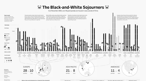 Opens Tableau Public in a new window to the viz about Pandas.