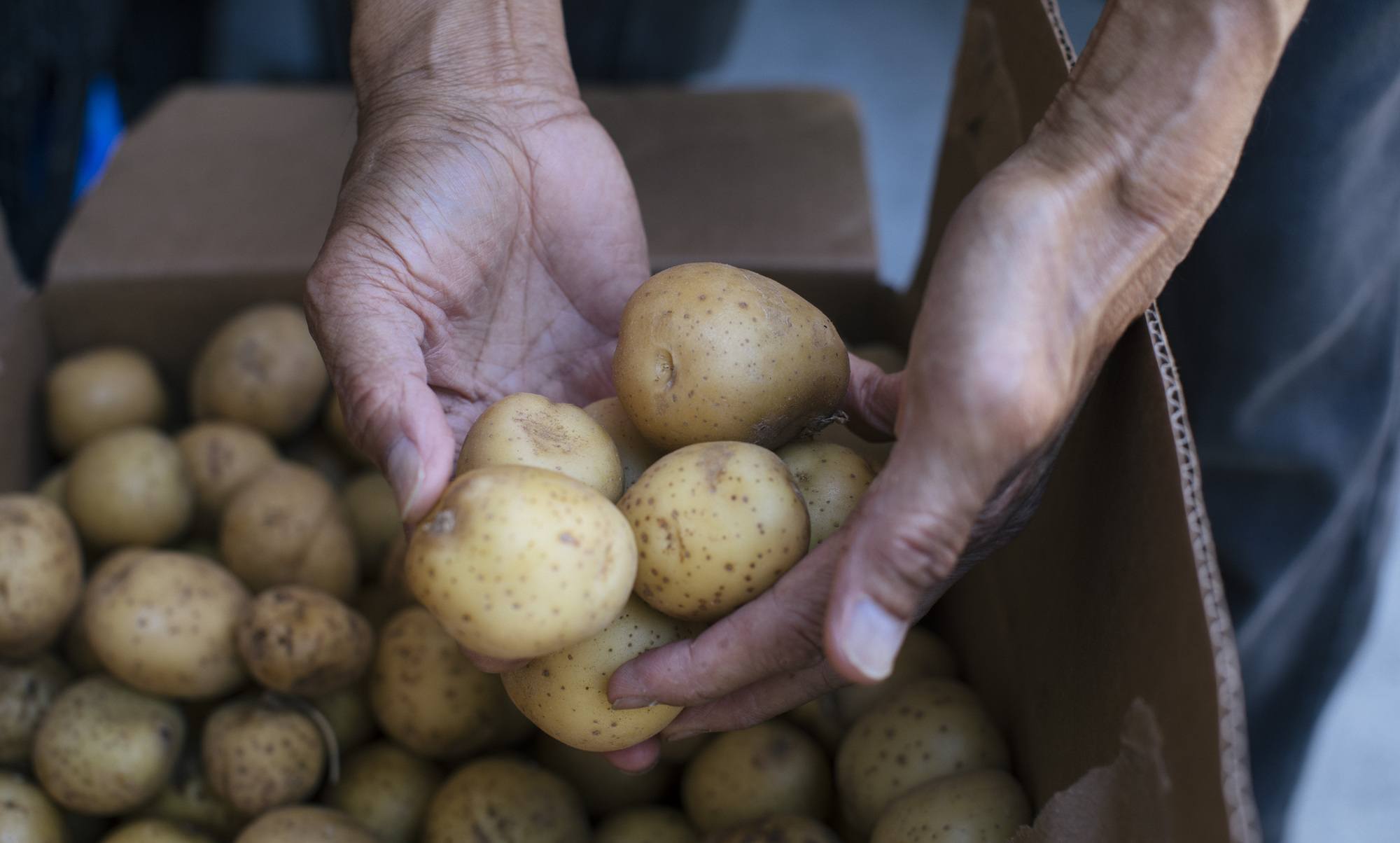 Accéder à Tableau powers Feeding America’s digital advocacy for hunger relief