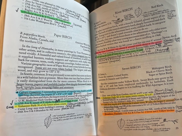 Copying drawings from the illustrated book, Sibley’s Guide to Trees, into the text-only book, Sibley’s Guide to Trees