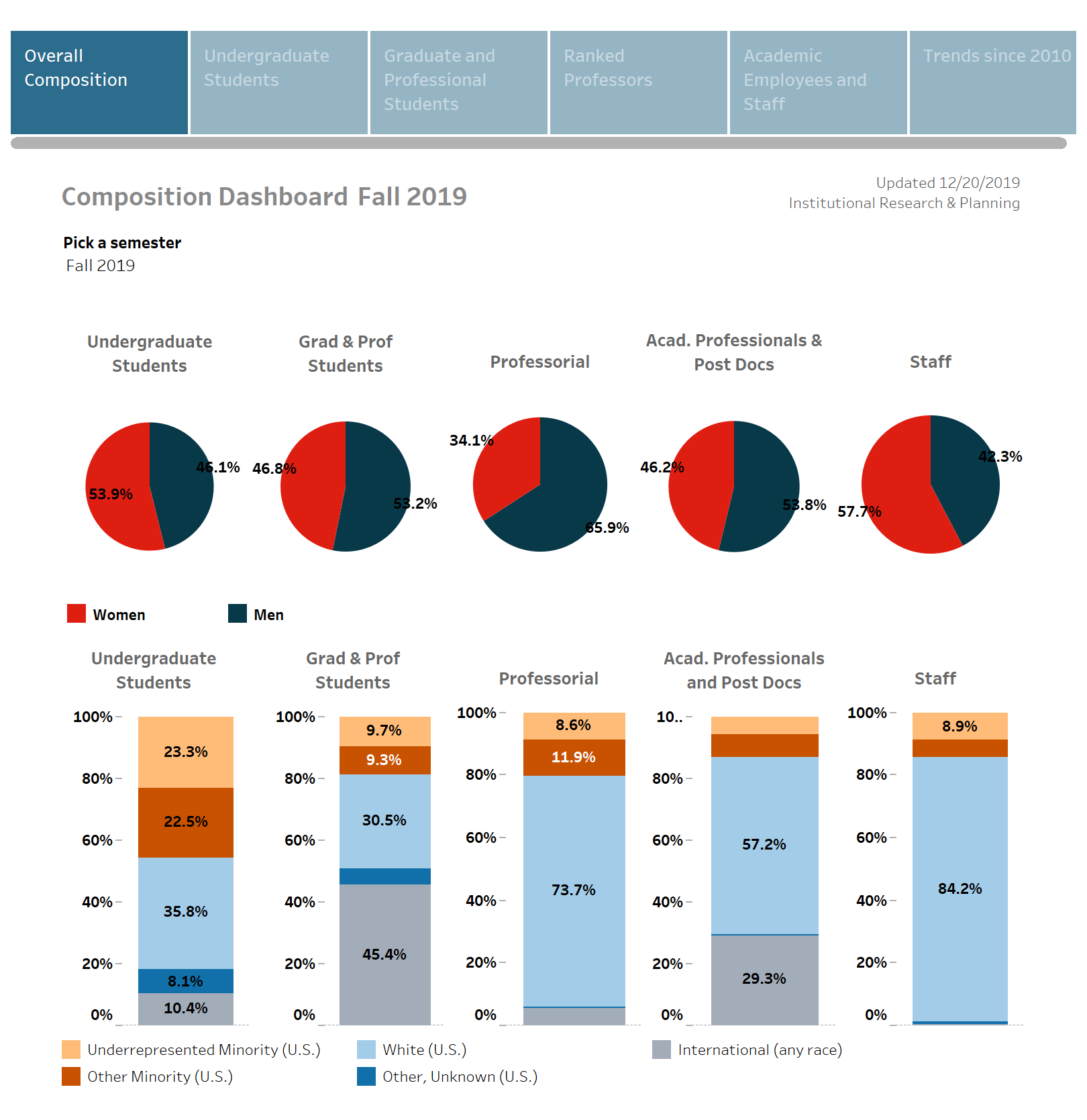 Diversity Dashboard Template