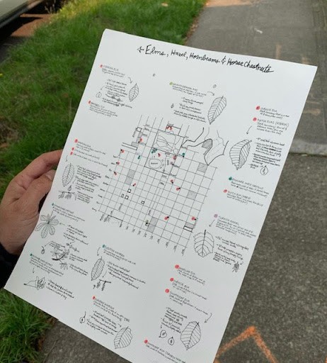 Tree map