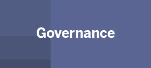 Zu Governance