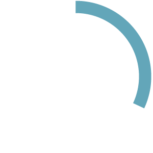 30% Icon