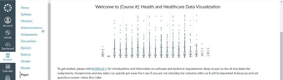 Screenshot of  Homepage of Health and Healthcare Data Visualization course in Canvas.