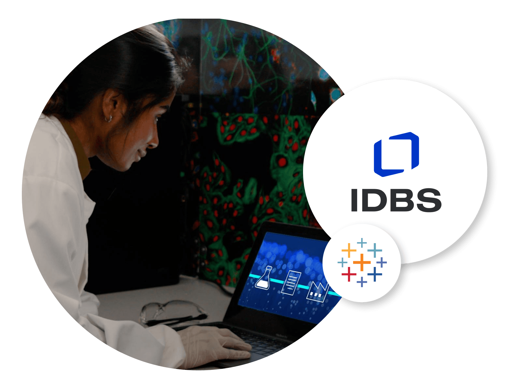 รูปภาพ IDBS