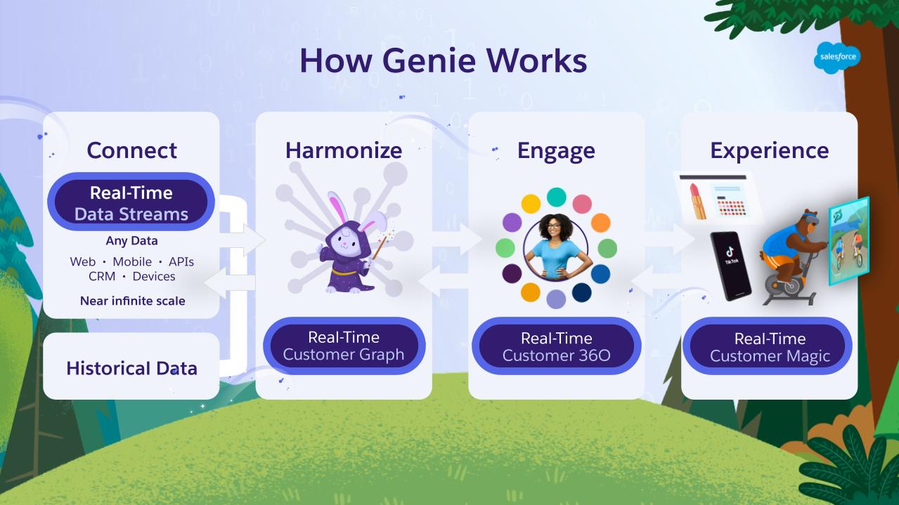 Forest background with four boxes labeled with Connect, Harmonize, Engage, and Experience. The Connect box has a purple oval labeled Real-Time Data Streams. The Harmonize box has a purple oval labeled Real-Time Customer Graph. The Engage box has a purple oval labeled Real-Time Customer 360. The Experience box has a purple oval labeled Real-Time Customer Magic