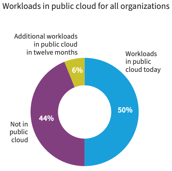 Purple, blue, and green donut chart showing percentages of workloads in public clouds for companies