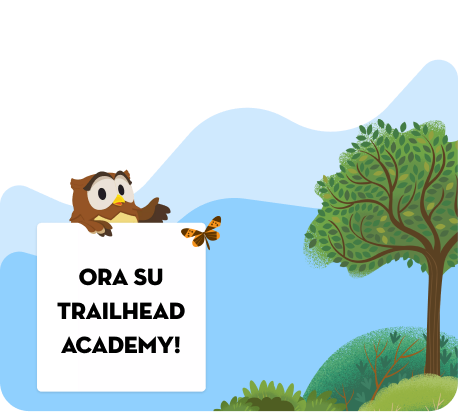 Ora su Trailhead Academy