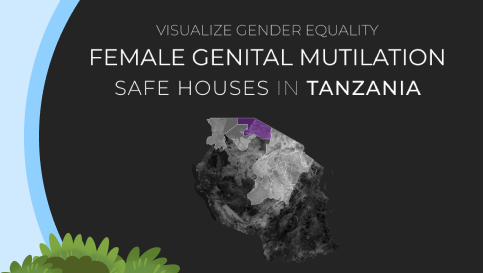 Visualisera jämställdhet. Dashboard för Safe Houses för kvinnlig könsstympning i Tanzania