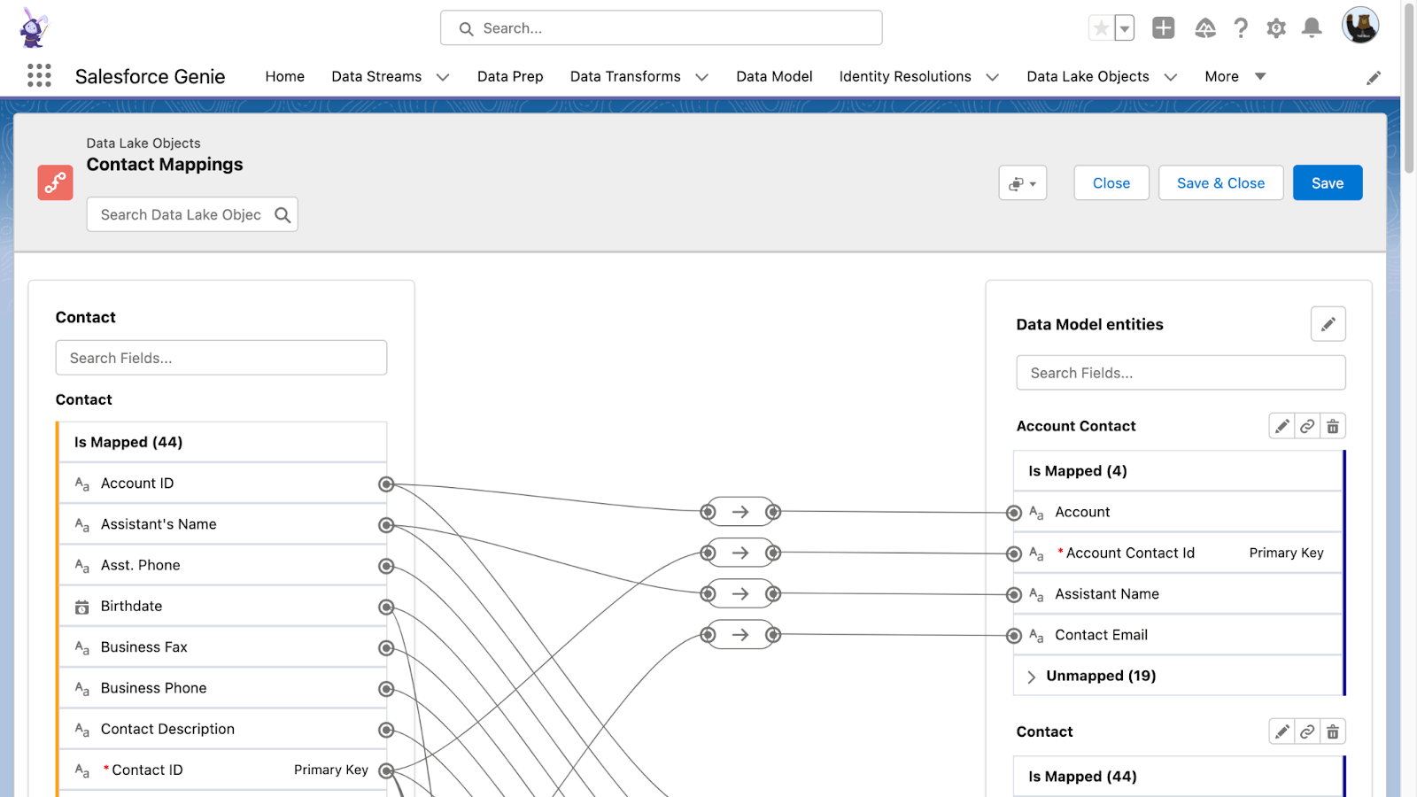 Asignaciones de contactos de objetos del mar de datos de Salesforce Genie