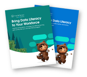 Data literacy guides