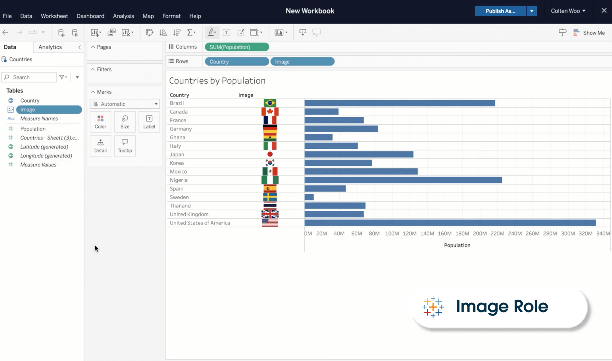 Image Role in Tableau