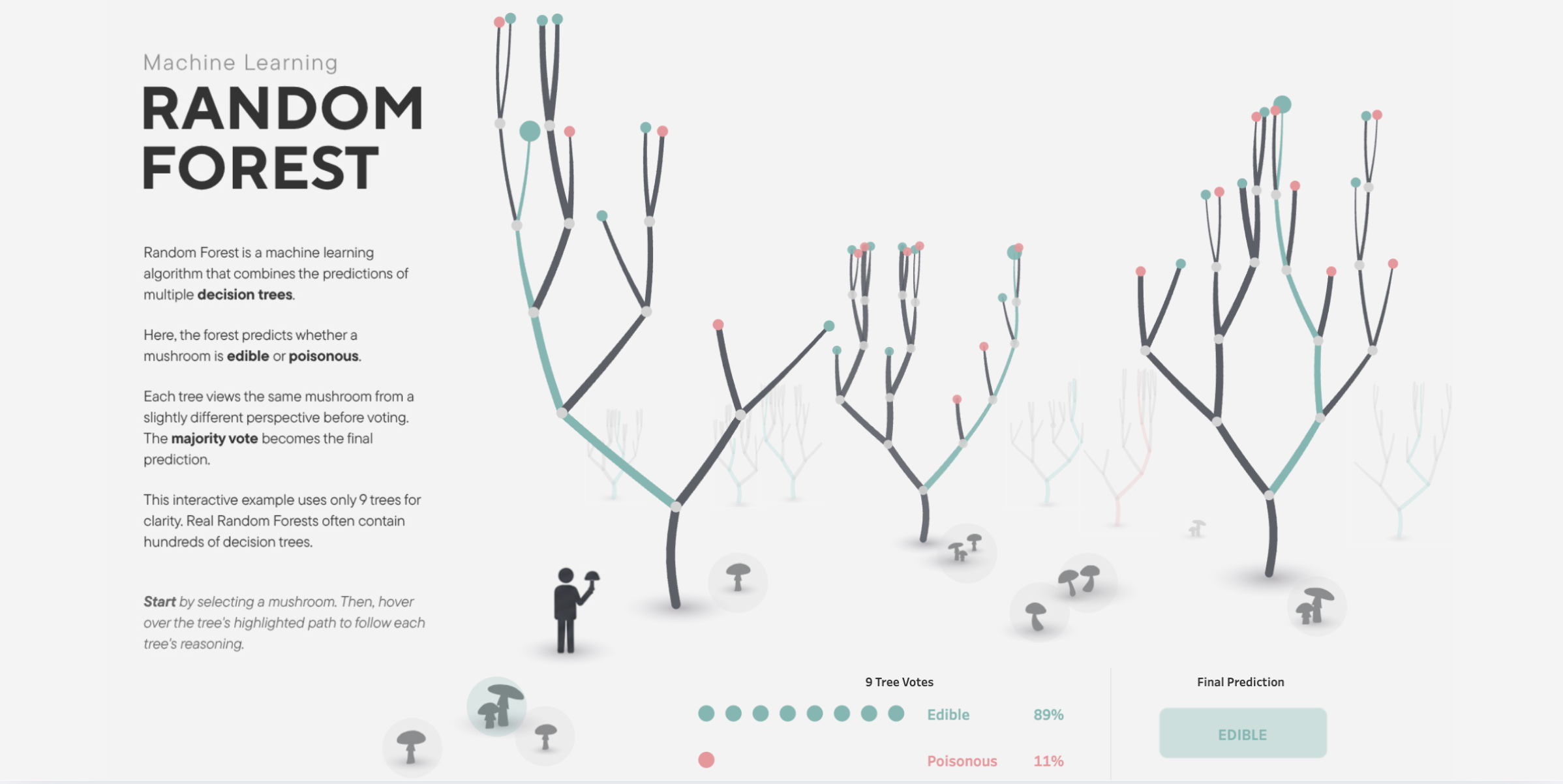 Tableau Public Viz of the Day