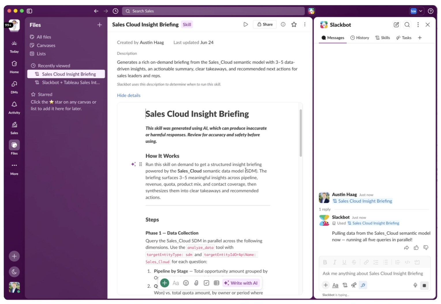 Canvas configuration interface in Slack displaying details, parameters, and structural execution steps for a Sales Cloud Insight Briefing skill.