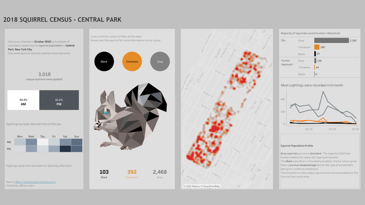 Squirrel census Central Park NYC