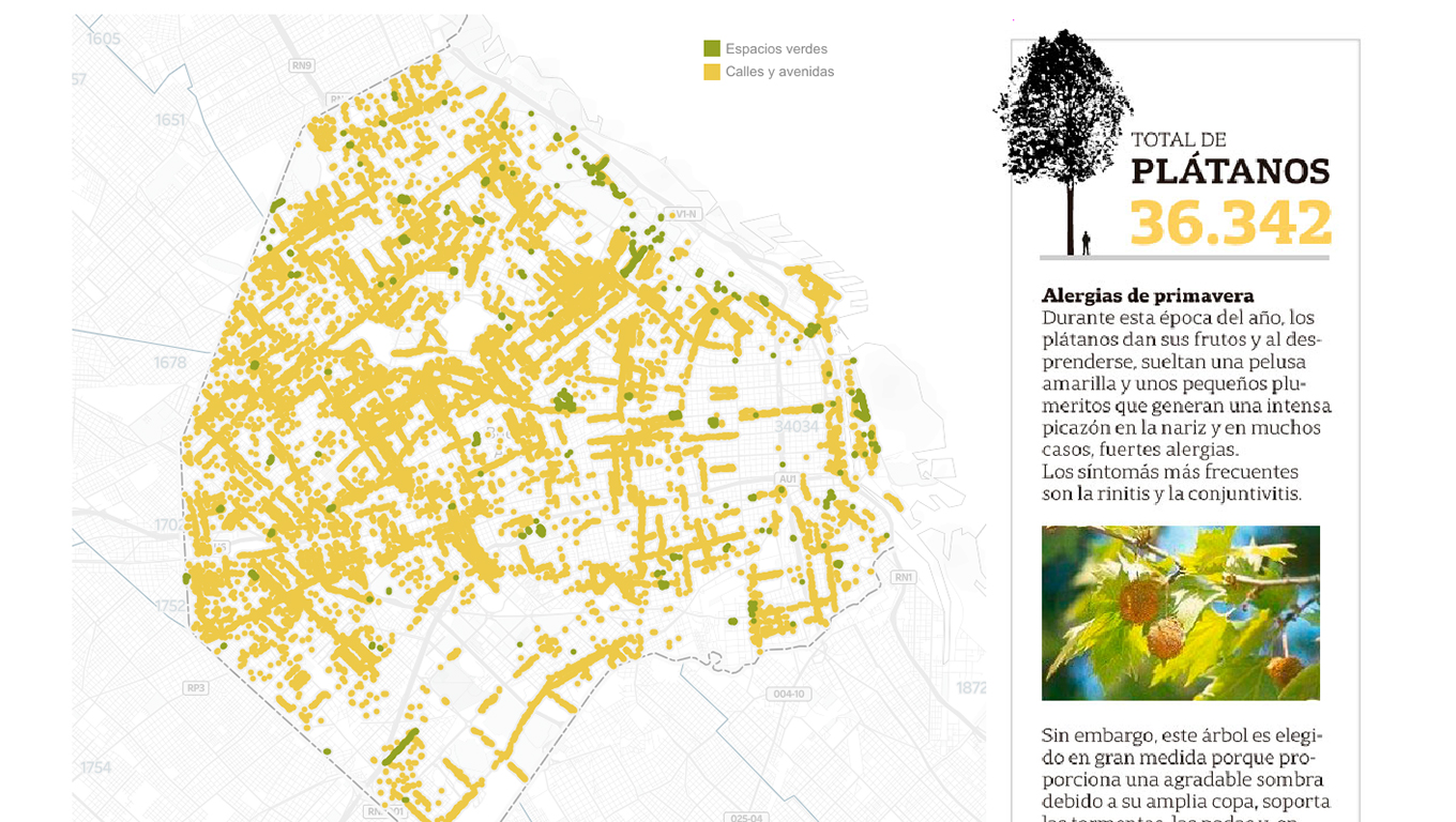 platano trees allergies Buenos Aires