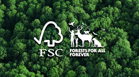 The Forest Stewardship Council uses impact data to improve sustainable forest management globally