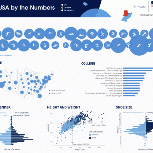 Team USA by the numbers data visualization
