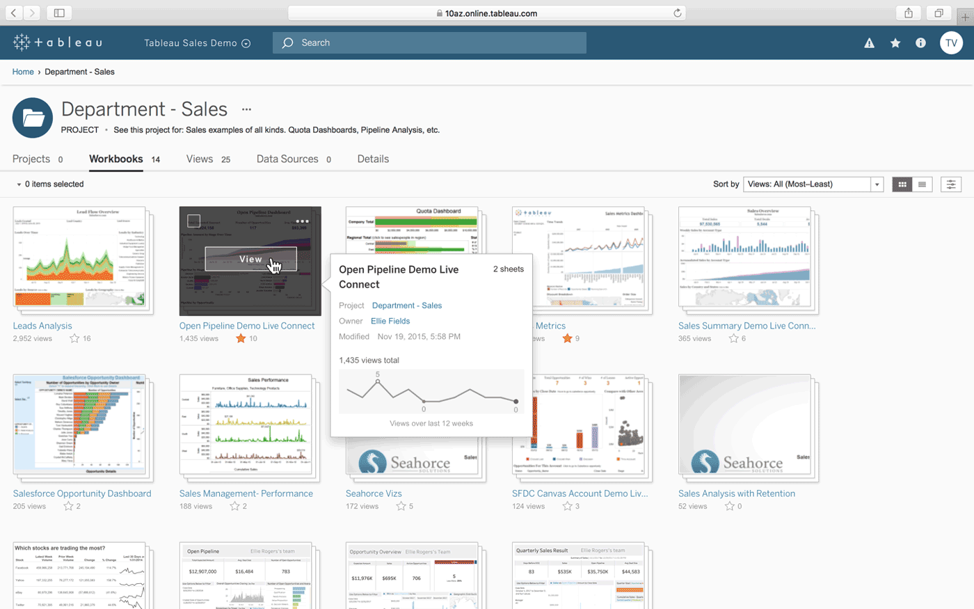 tableau viewer user interface showing information about dashboard view